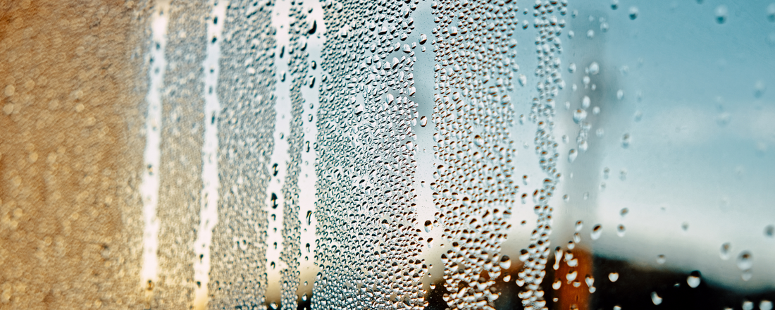 The Impact of Condensation in a Shipping Container